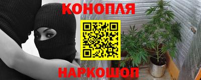 PSILOCYBIN Малоярославец