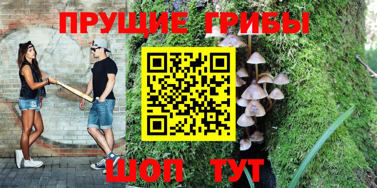 Галлюциногенные грибы MAGIC MUSHROOMS Дербент
